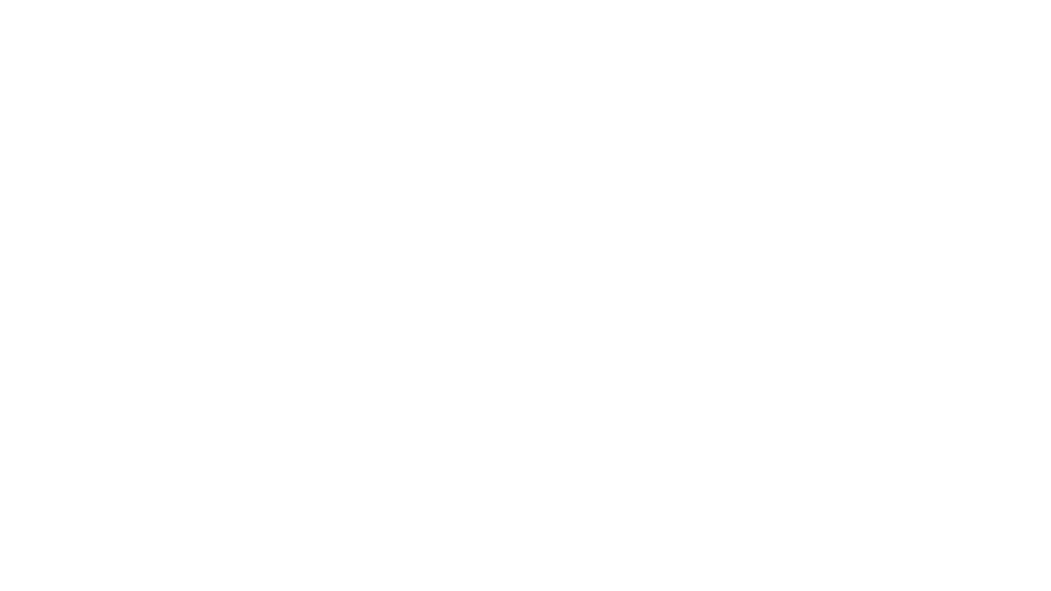 Wippermann.png